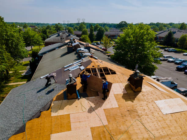 Best Flat Roof Repair Services  in Divernon, IL