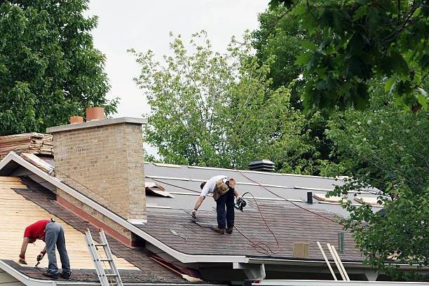 Best Storm Damage Roof Repair  in Divernon, IL