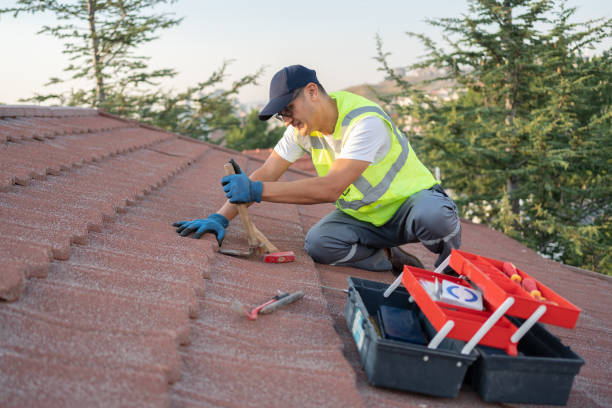 Best Roof Waterproofing Services  in Divernon, IL