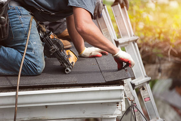 Best New Roof Installation  in Divernon, IL